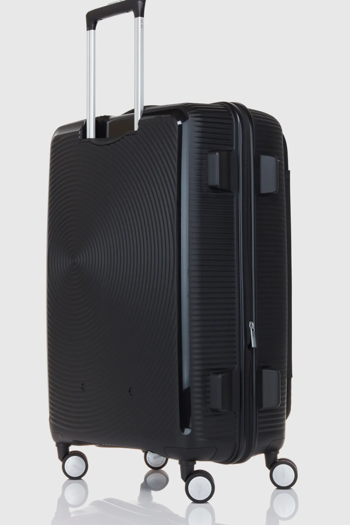 Curio Book 75cm Case