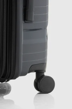 Palm Check-In 65cm Suitcase